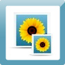 Digital Pictures Recovery Software