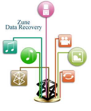 Order Zune Music Recovery Software