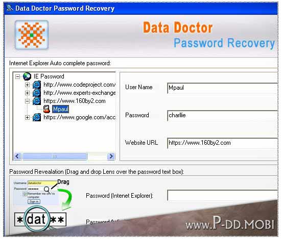 Screenshot of IE Password Reset