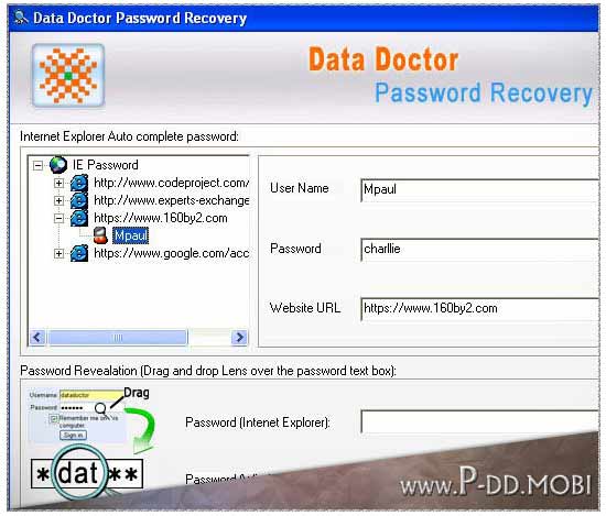 IE Password Reset 3.0.1.5