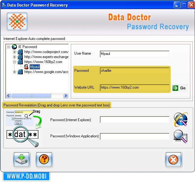 Internet Explorer Password Recovery Software