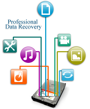 Order DDR Professional - Data Recovery Software