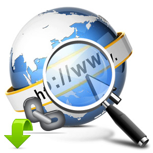Download Website Monitoring Tool